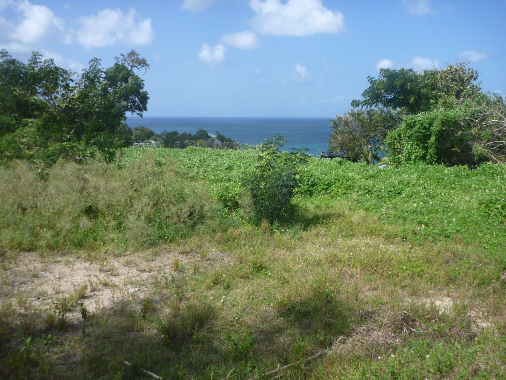 western boundary green